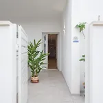 Majamy House 奧爾比亞